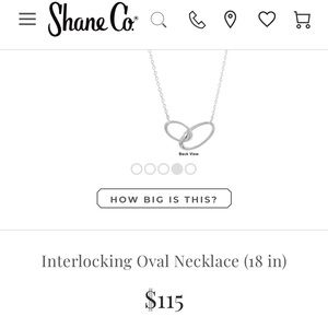 Shane Co. Interlocking Silver Oval Necklace 18”
